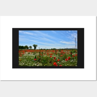 Poppy Field Near Cividale Posters and Art